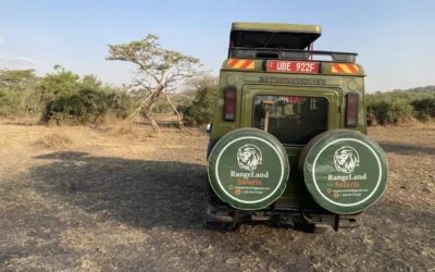 Range Land Safaris- Above and Beyond to Enhance your safari experience