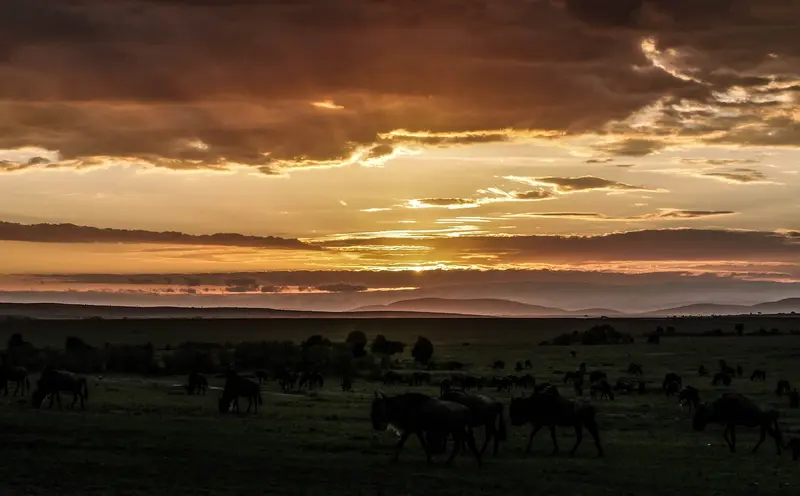 Sunrise in Masai Mara