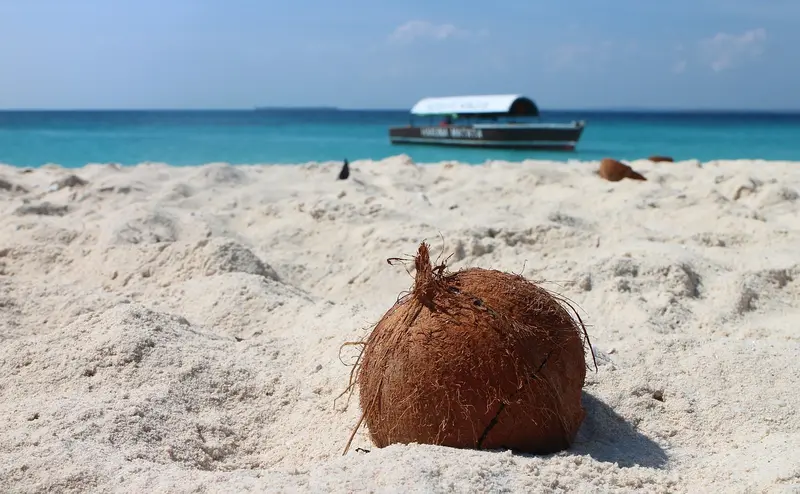 Zanzibar Beach Coconut