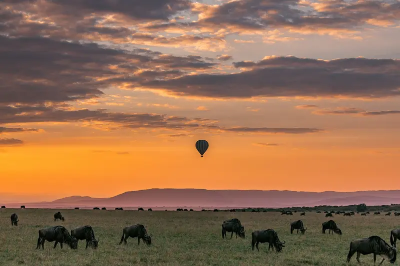 baloon safari