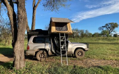 What are the best cars for a self drive safari? Ranger Car Rentals.